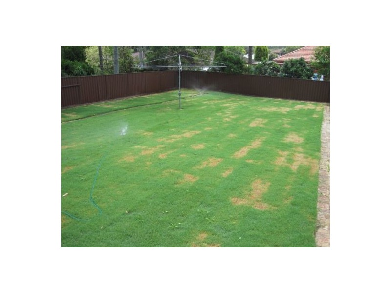 House 27 Sutton Street, Blacktown NSW 2148