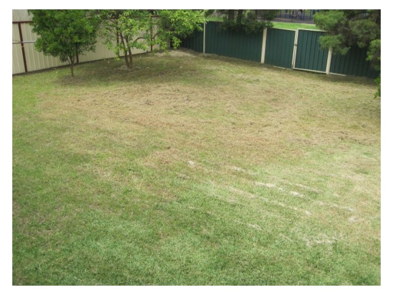 3 Burnie Street,, Blacktown NSW 2148