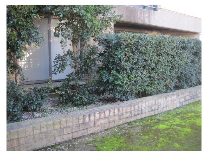 Unit 39/5-9 Fourth Ave,, Blacktown NSW 2148