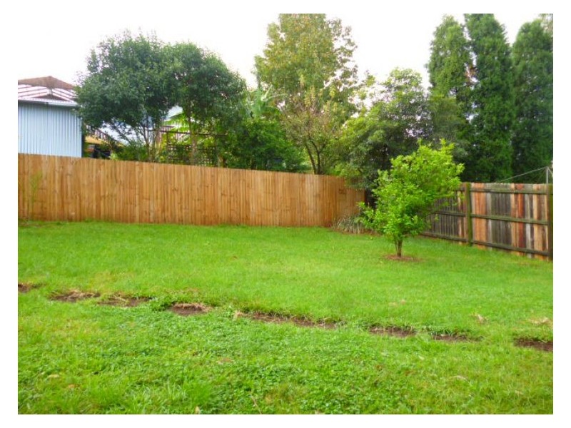 House 13 Hunter Street,, Blacktown NSW 2148