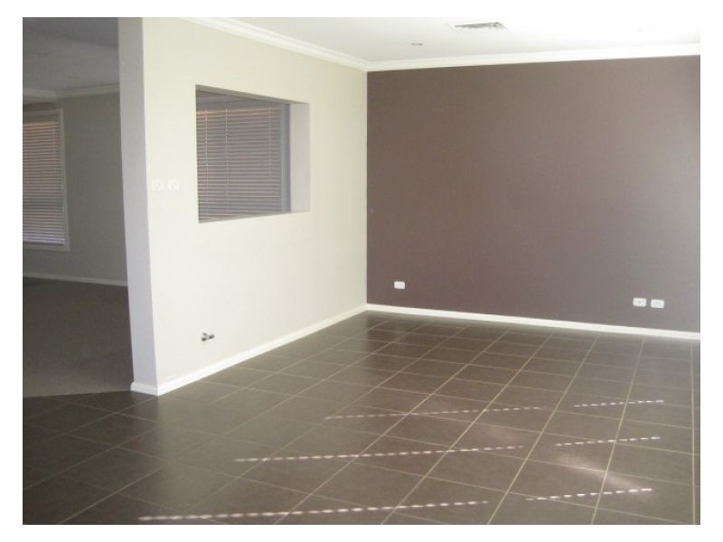 House 117 Aliberti Drive, Blacktown NSW 2148