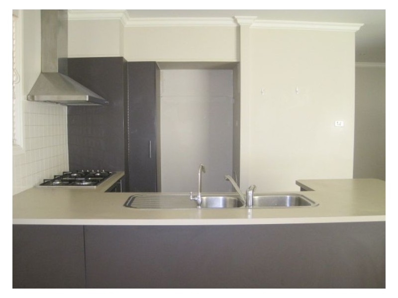 House 117 Aliberti Drive, Blacktown NSW 2148