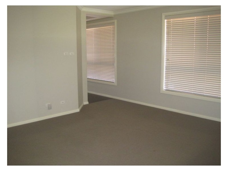 House 117 Aliberti Drive, Blacktown NSW 2148