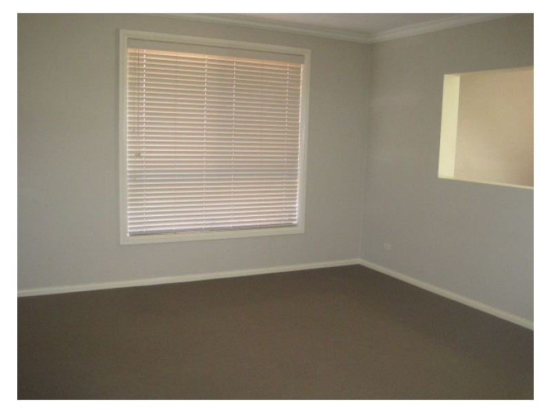 House 117 Aliberti Drive, Blacktown NSW 2148