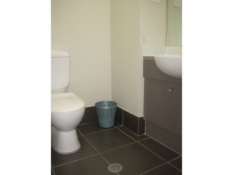 House 117 Aliberti Drive, Blacktown NSW 2148