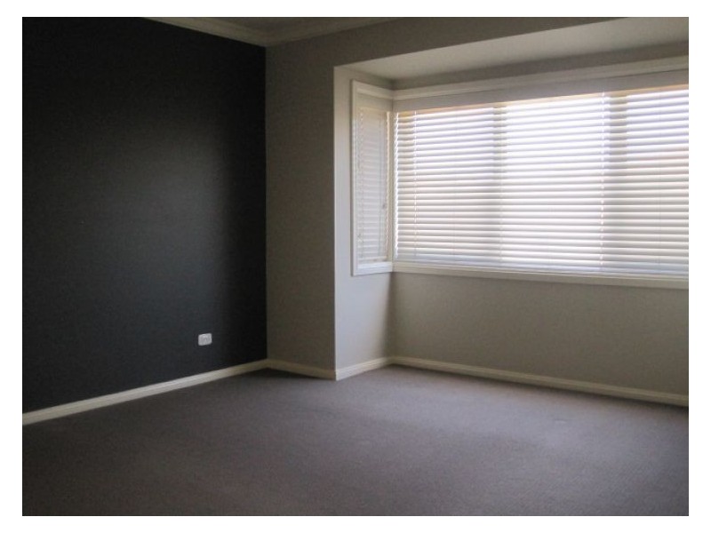 House 117 Aliberti Drive, Blacktown NSW 2148