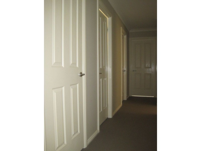 House 117 Aliberti Drive, Blacktown NSW 2148