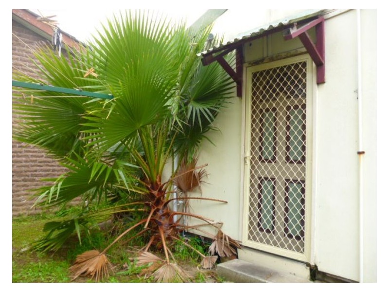 Granny Flat 2a Pentland Street, Quakers Hill NSW 2763