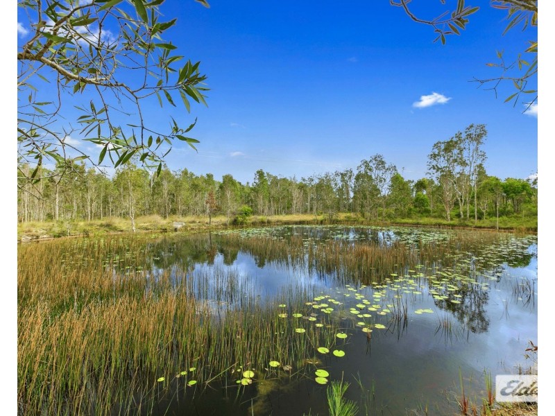 403 Dundowran Road, Walligan QLD 4655