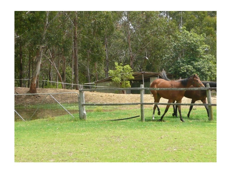 171 Aberfoyle Road, Wedderburn NSW 2560