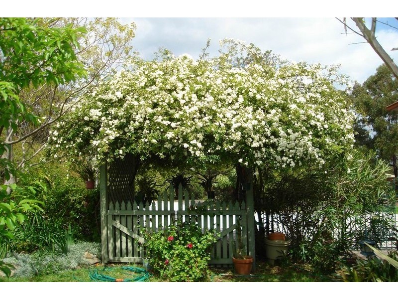 171 Aberfoyle Road, Wedderburn NSW 2560