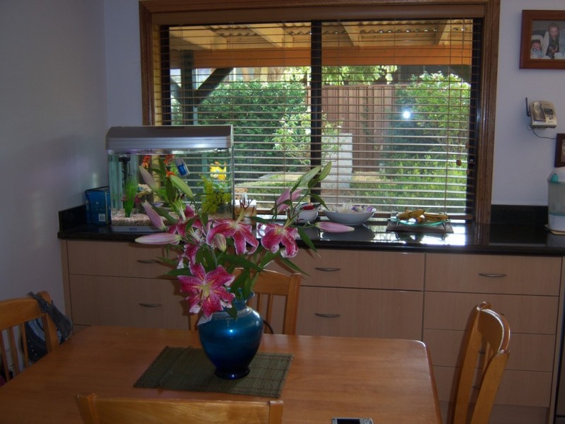 2 Bellinger Road, Ruse NSW 2560