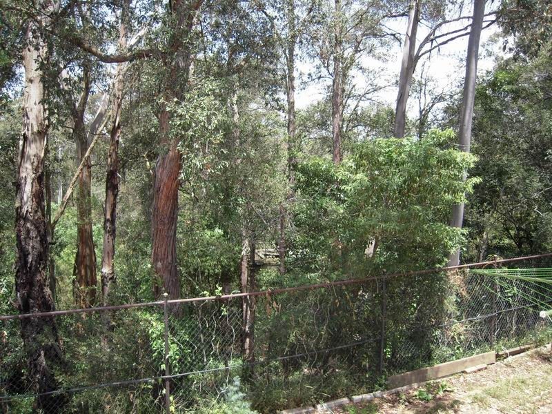 Campbelltown NSW 2560