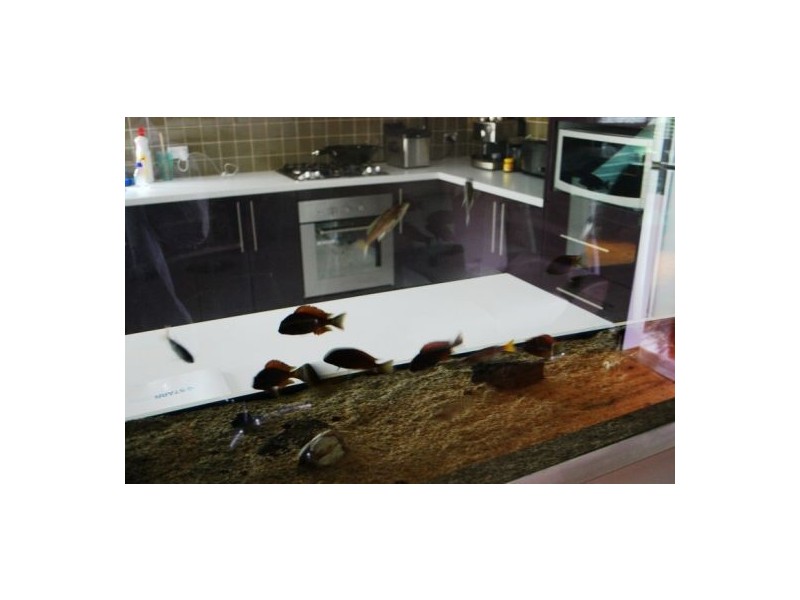 Campbelltown NSW 2560