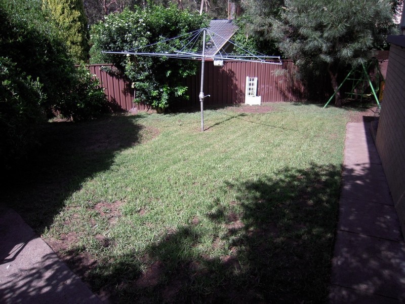Ruse NSW 2560