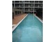 37F/541 Pembroke Rd, Leumeah NSW 2560