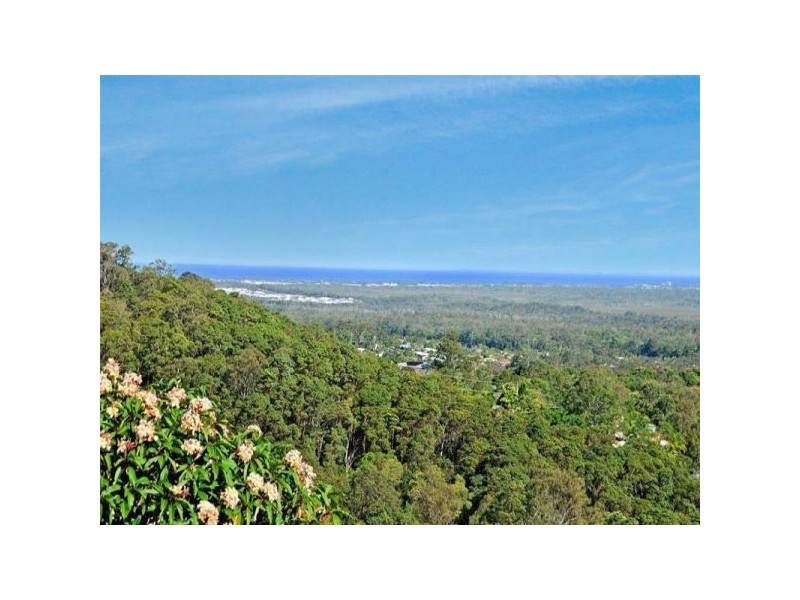 24 Box Street, Buderim QLD 4556