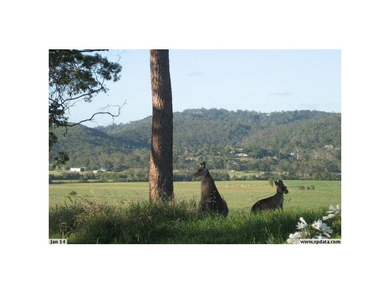 Maroochy River QLD 4561