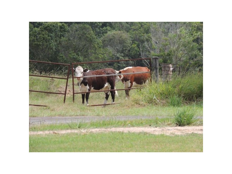 Glenview QLD 4553