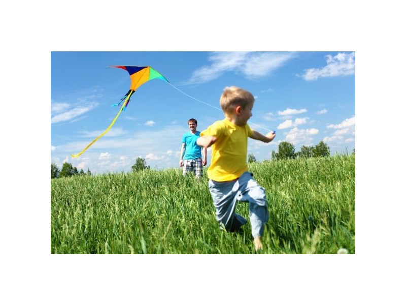 21 Retreat Crescent, Yandina QLD 4561