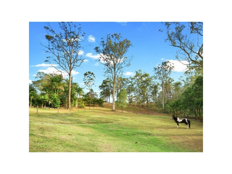 Mooloolah Valley QLD 4553