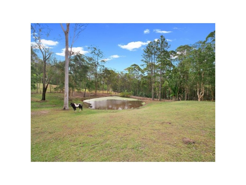 Mooloolah Valley QLD 4553