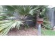 2 Williams Avenue, Bucasia QLD 4750