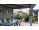 2 Williams Avenue, Bucasia QLD 4750