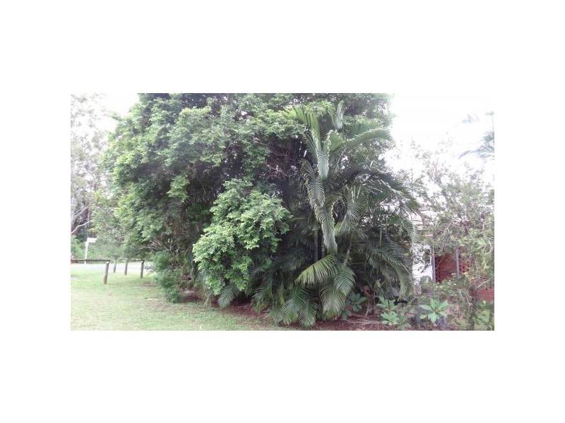 2 Williams Avenue, Bucasia QLD 4750