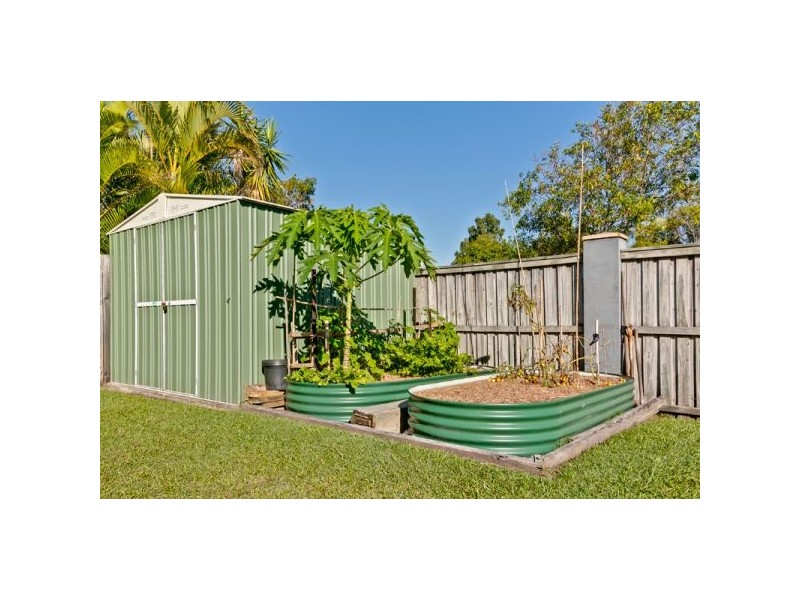 4 Lamandra, Sippy Downs QLD 4556