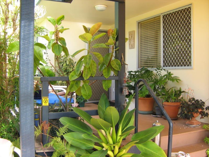21 Wyndlorn, Buderim QLD 4556