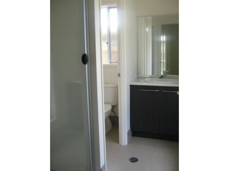 17 Morrison Street, Sippy Downs QLD 4556