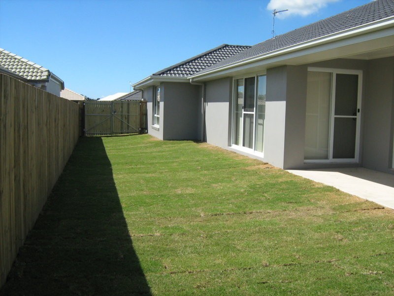 3 Rollins Street, Sippy Downs QLD 4556