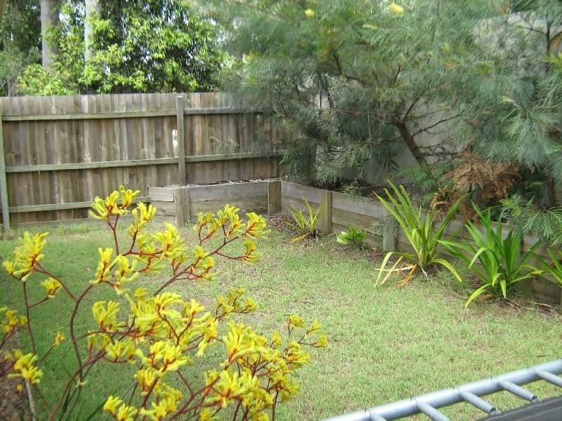 1/11 Boobook Court, Buderim QLD 4556