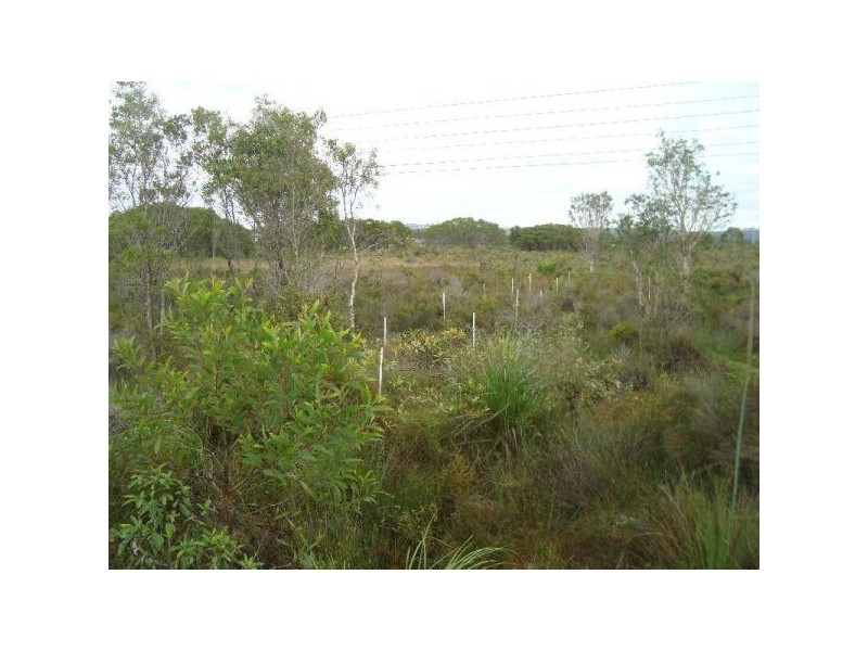 43 BAINBRIDGE CIRCUIT, Sippy Downs QLD 4556