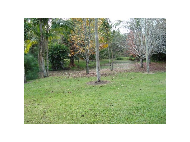 Mooloolah Valley QLD 4553