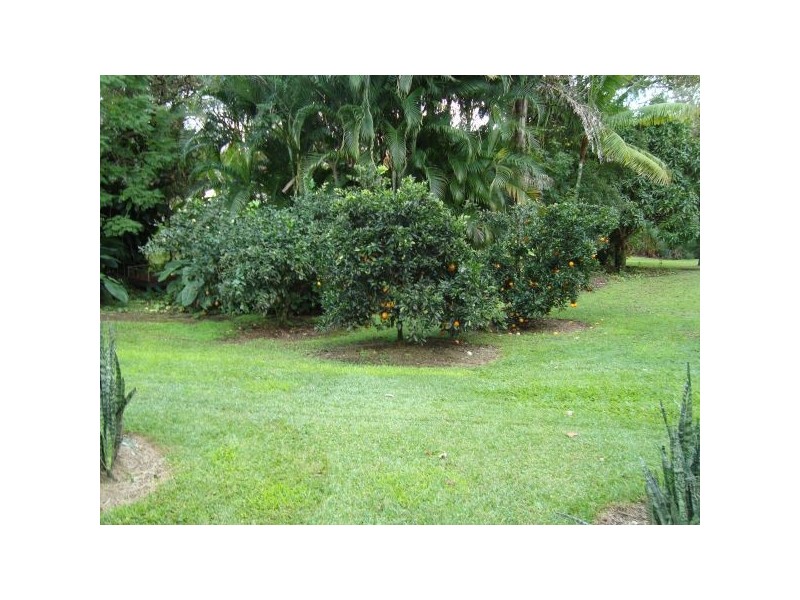 Mooloolah Valley QLD 4553