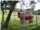 Dulong QLD 4560