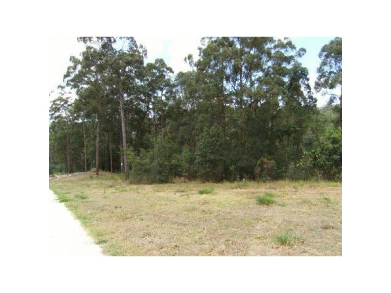 Buderim QLD 4556