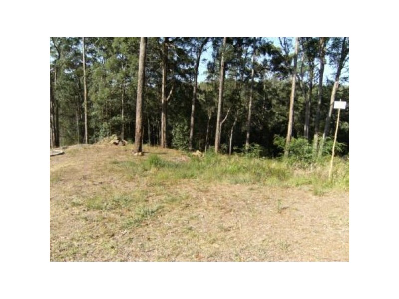 Buderim QLD 4556