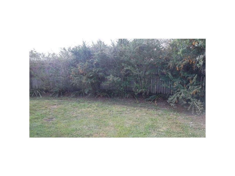 10 Burke Close, Sippy Downs QLD 4556