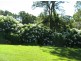 Mooloolah Valley QLD 4553