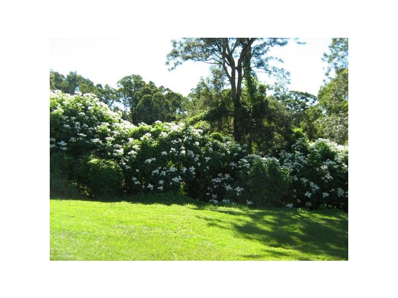 Mooloolah Valley QLD 4553
