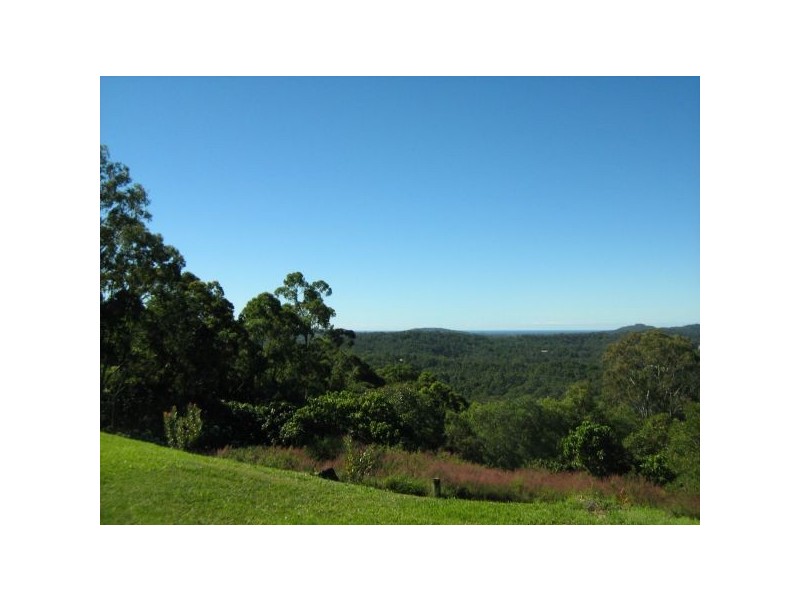 Mooloolah Valley QLD 4553