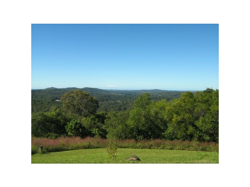 Mooloolah Valley QLD 4553