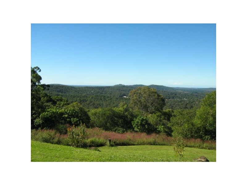 Mooloolah Valley QLD 4553