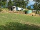 Mooloolah Valley QLD 4553