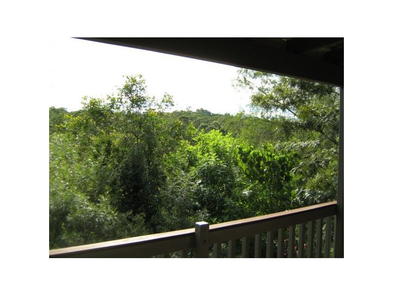Mooloolah Valley QLD 4553