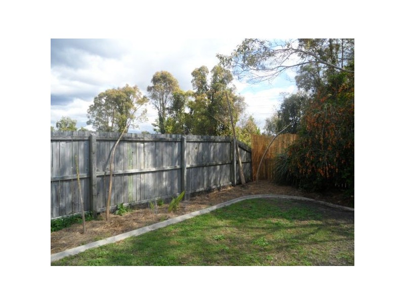 50 Statesman Circuit, Sippy Downs QLD 4556