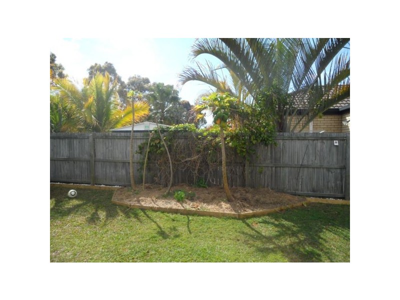 50 Statesman Circuit, Sippy Downs QLD 4556